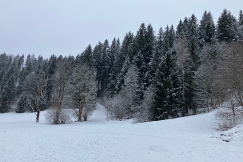 Nový sníh v Altenmarktu