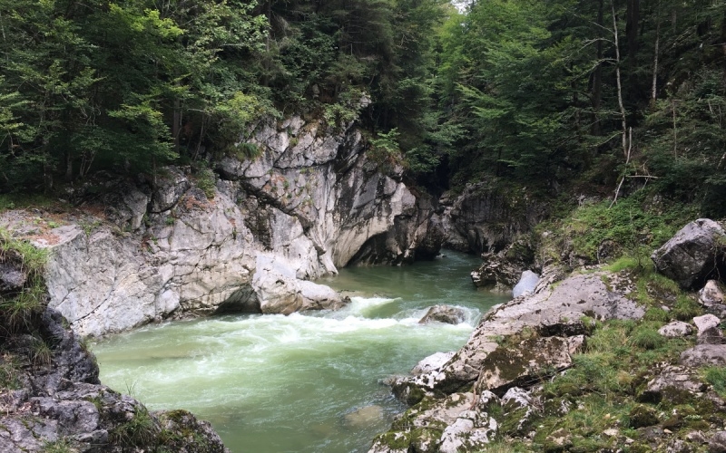 Klamm auf dem Fluss Lammer (Lammerklamm)