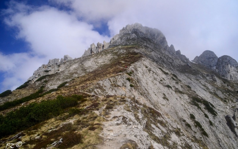 Sommer in den Dachstein Tauern